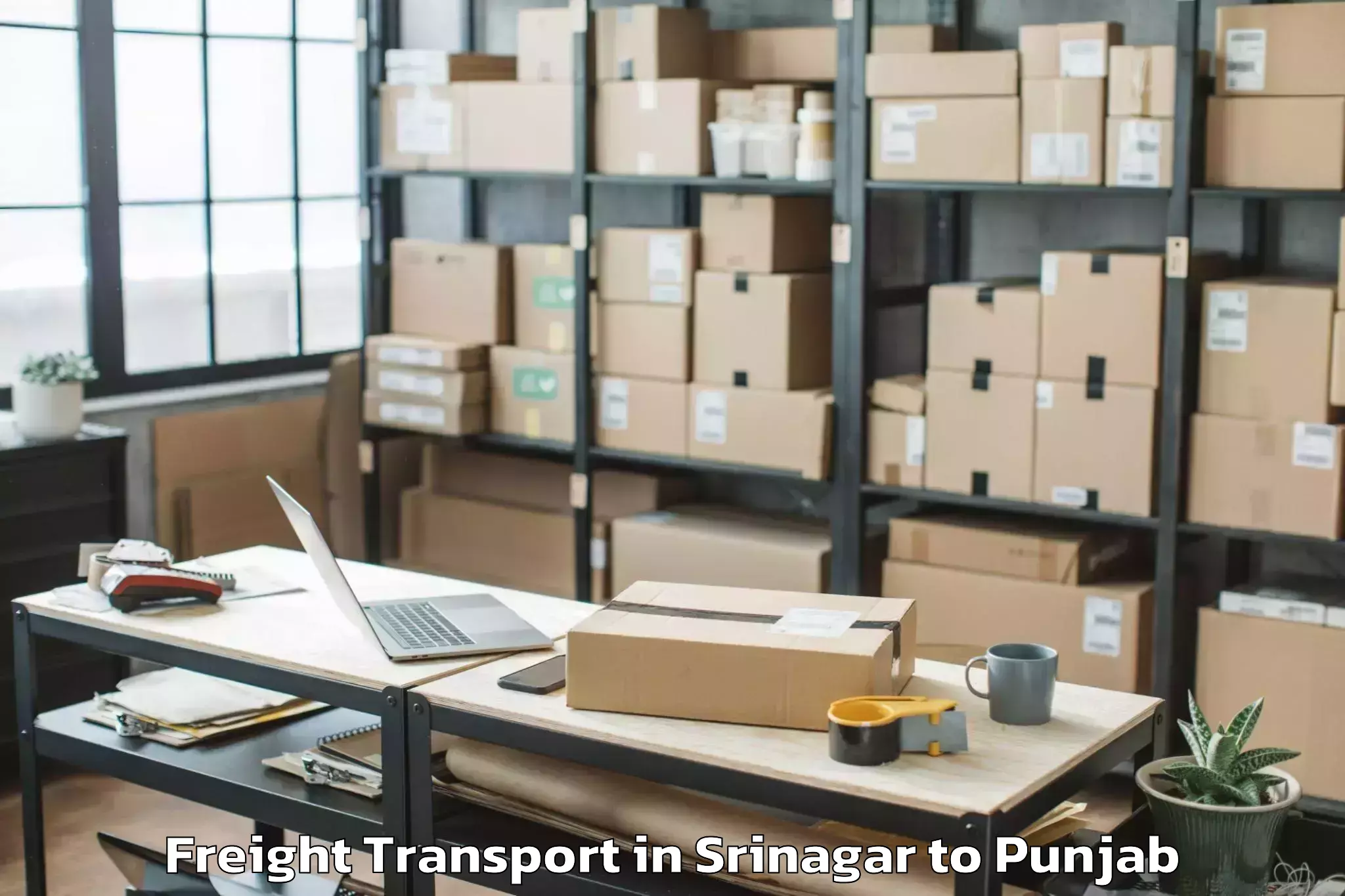 Book Srinagar to Dasua Freight Transport Online